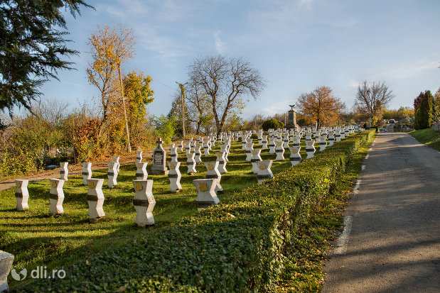 vedere-cu-cimitirul-eroilor-din-zalau-judetul-salaj.jpg