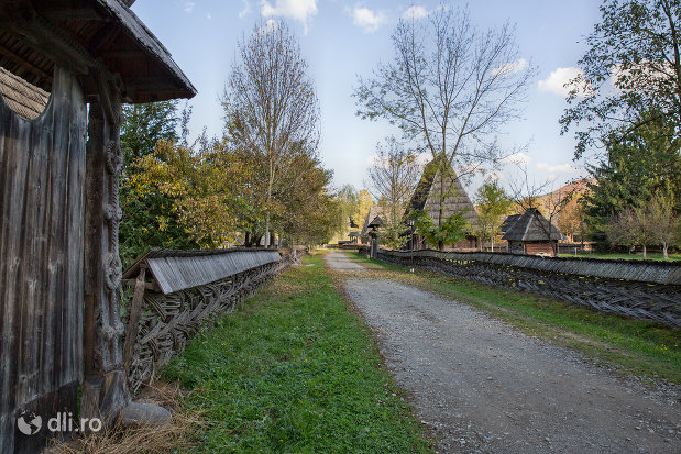 vedere-de-ansamblu-cu-muzeul-satului-din-sighetu-marmatiei-judetul-maramures.jpg