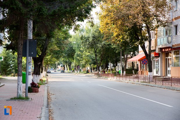 vedere-din-orasul-bucecea-judetul-botosani.jpg