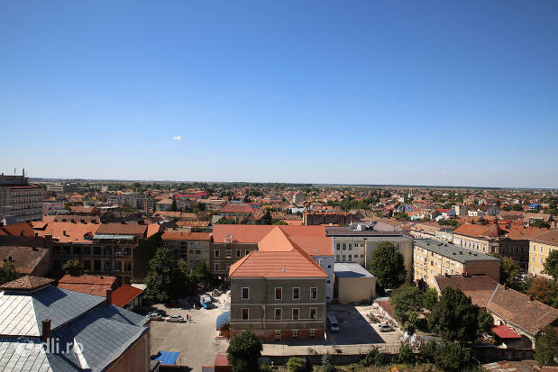 vedere-peste-orasul-satu-mare-din-turnul-pompierilor.jpg