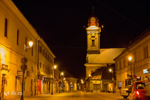 vedere-spere-turn-orasul-baia-mare-judetul-maramures.jpg