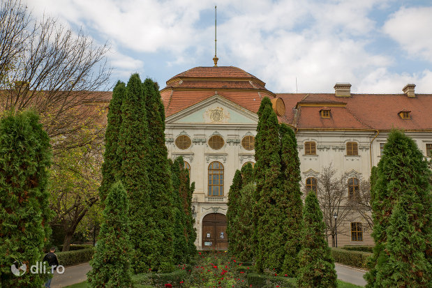vedere-spre-palatul-episcopal-romano-catolic-azi-muzeul-tarii-crisurilor-din-oradea-judetul-bihor.jpg