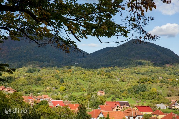 vedere-spre-rezervatia-naturala-tinoavele-din-camarzana-judetul-satu-mare.jpg