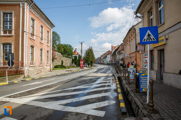 zid-de-incinta-si-cladiri-din-ansamblul-urban-b-dul-lucian-blaga-din-sebes-judetul-alba.jpg