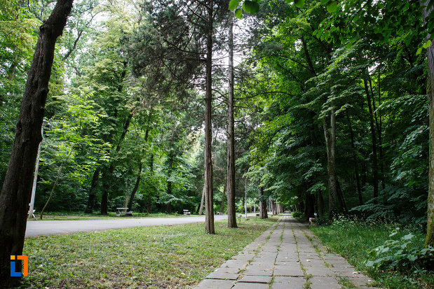 zona-amenajata-cu-copaci-aansamblul-de-arhitectura-balneara-din-buzias-judetul-timis.jpg