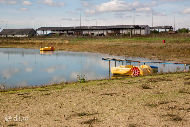 zona-de-agrement-pe-lacul-lui-pintea-judetul-satu-mare.jpg