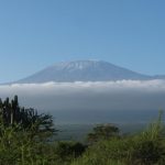 Kilimanjaro