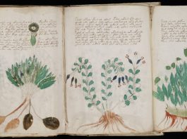 Voynich