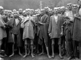 exterminarea homosexualilor din Germania