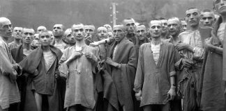 exterminarea homosexualilor din Germania