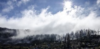 Vrei o excursie specială? Află care sunt cele mai misterioase locuri din România Locuri misterioase Romania