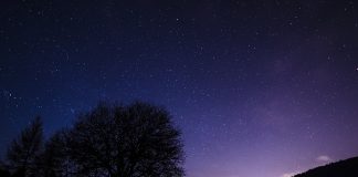 Simbolistica viselor