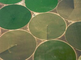 Crop circles
