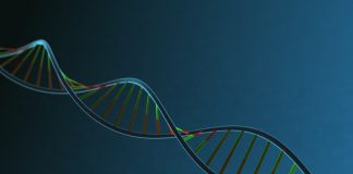 Primul organism semi-artificial creat de cercetători ADN