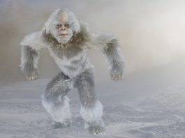 Yeti