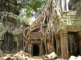 Angkor Wat