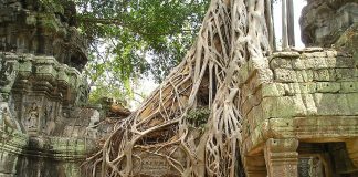 Desene bizare pe pereții templului Angkor Wat Angkor Wat