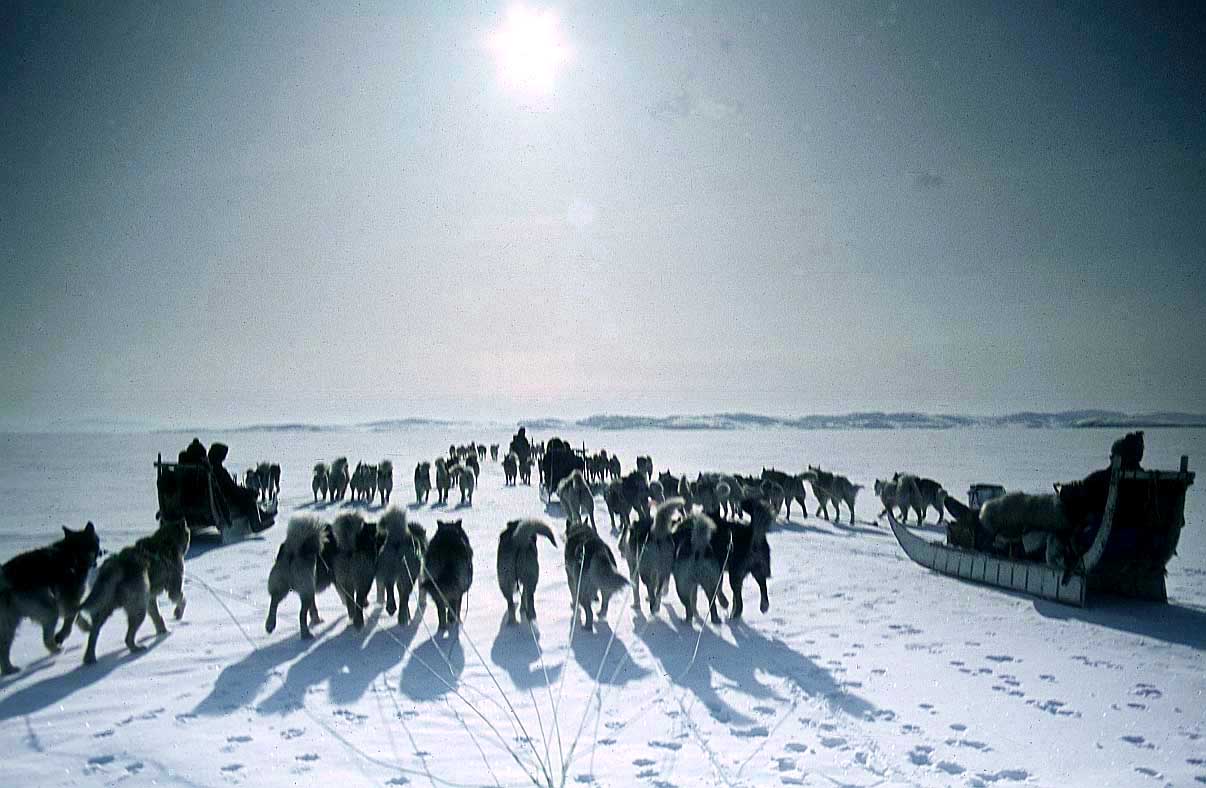 Inuiti