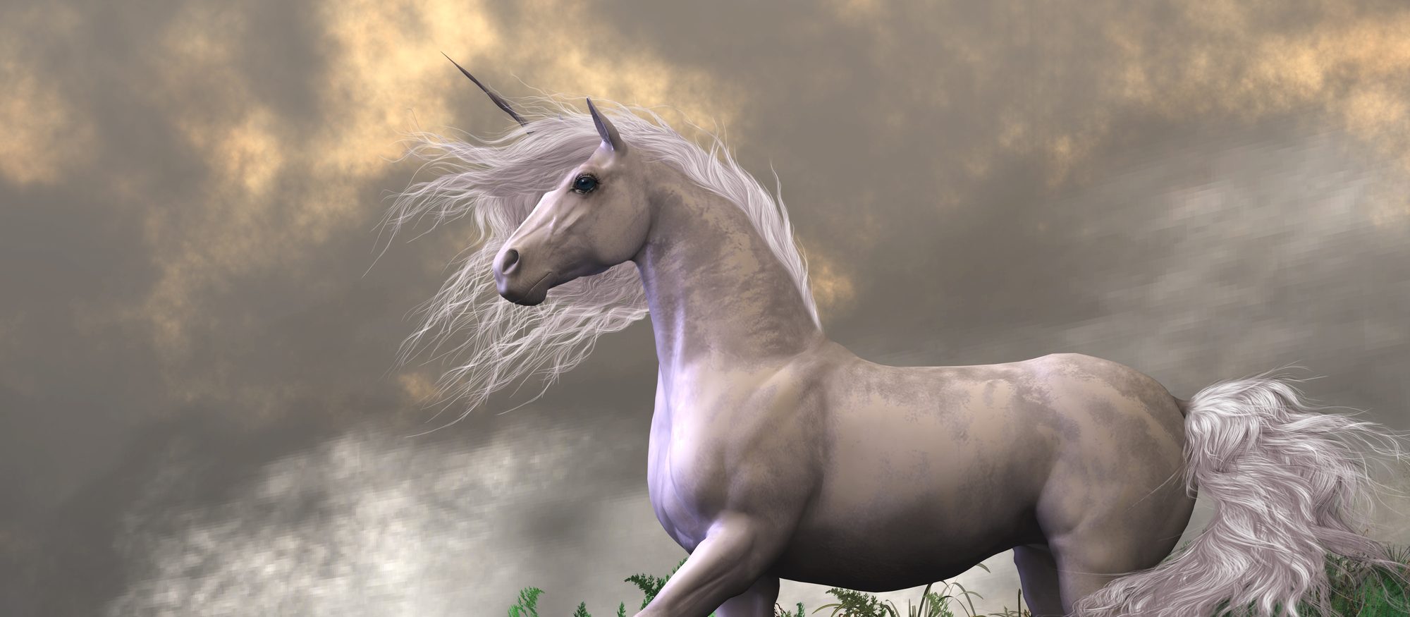 Unicorn1