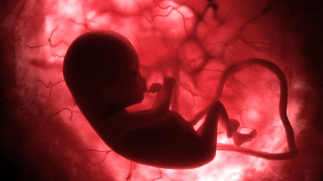Life before Birth Life before Birth