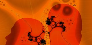 Există memorie celulară? Un caz interesant de transplant de organe memorie celulară