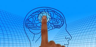 Neuroplasticitatea creierului uman – O descoperire ştiinţifică miraculoasă! Neuroplasticitatea creierului uman