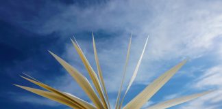 Firul Ariadnei – sensul şi originea expresiei