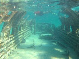 Triunghiul Bermudelor, piramide de cristal si un oras scufundat