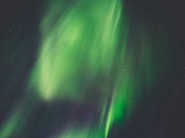 Serendipitatea, hazardul fericit