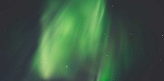 Serendipitatea, hazardul fericit