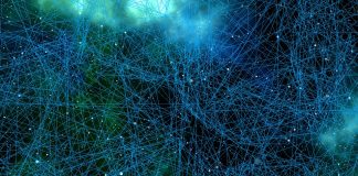 Undele cerebrale si retelele de neuroni