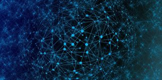 Mecanismele învăţării, celulele nervoase si sinapsele