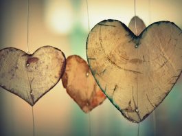 Al doilea creier, inima