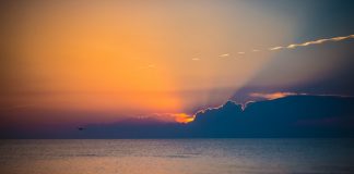 Geniul creativ al omului se stinge încă din primii ani de viaţă