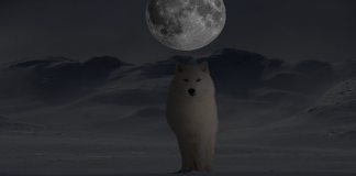 Super Luna sângerie sau Luna Lupului şi eclipsa totală de Lună din 21 ianuarie 2019