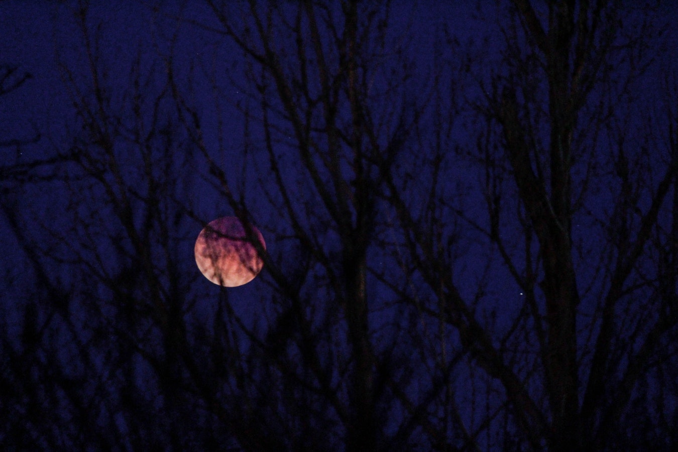 Super Luna sângerie sau Luna Lupului şi eclipsa totală de Lună din 21 ianuarie 2019