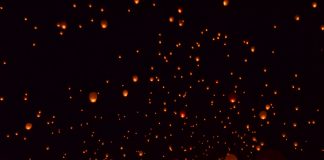 Anul Nou Chinezesc, sub semnul Mistreţului de Pământ, 5 februarie 2019