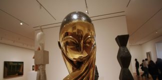 Constantin Brâncuşi, Domnisoara Pogany