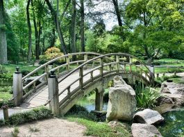 Grădina Hesperidelor – sensul şi originea expresiei