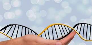 10 descoperiri ştiinţifice impresionante ale anului 2018