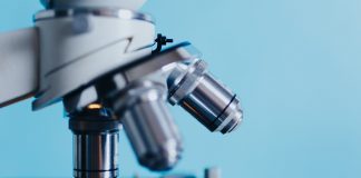 Cel mai lung experiment ştiinţific va dura 500 de ani, Microscopul si microbiologia