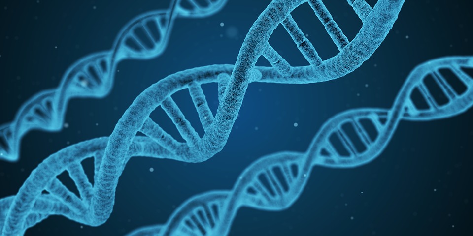 ADN-ul, particulele elementare si teoria stringurilor