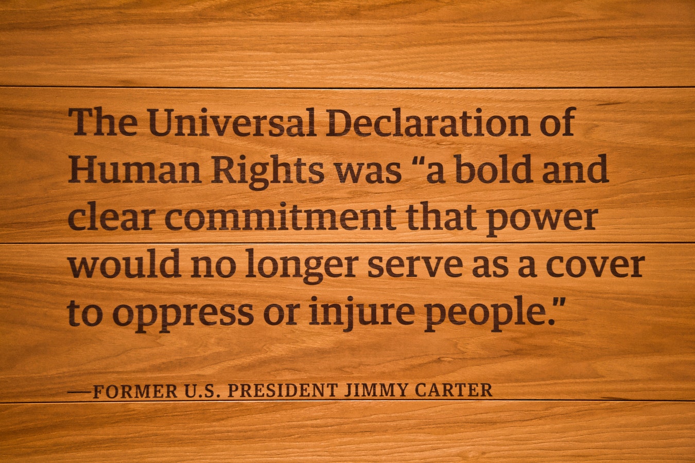Dreptul la vot, Declaratia Universala a Drepturilor Omului