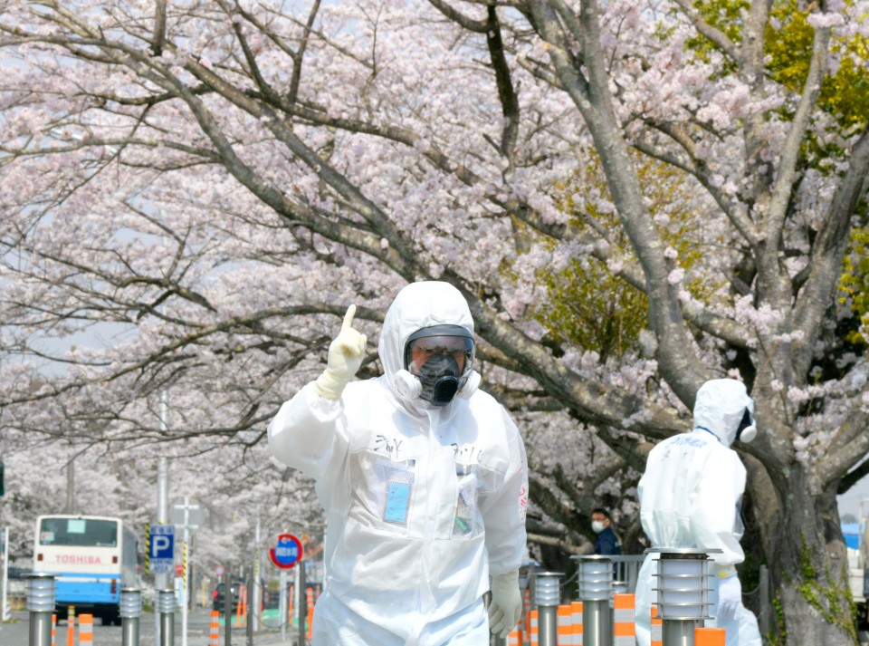 Ciresul de la Fukushima