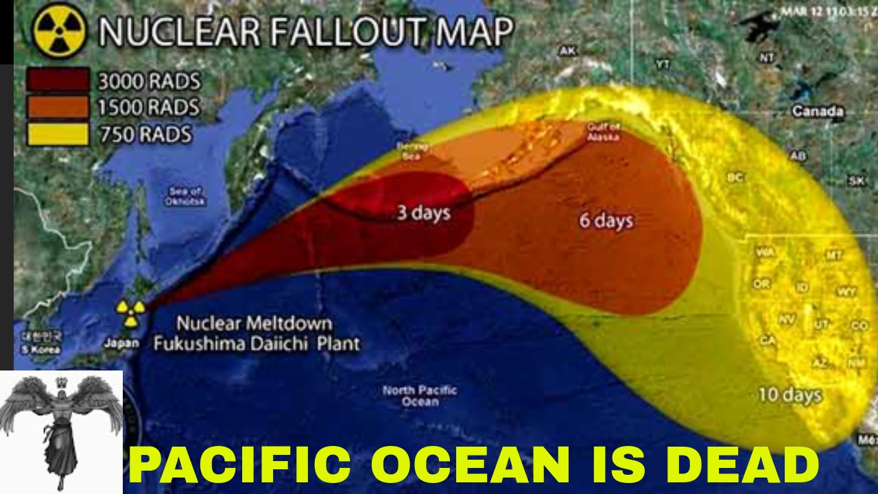 Fukushima, catastrofă naturală sau eroare umană