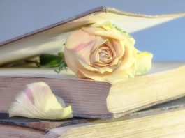 Nombrilismul – sensul şi originea cuvântului