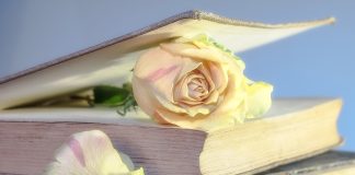 Nombrilismul – sensul şi originea cuvântului