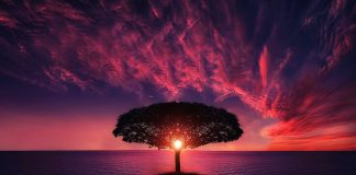 Solstiţiu – sensul şi originea cuvântului. Solstiţiul de vară 2019