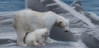 Anomaliile climatice, un geolog australian susţine o ipoteză şocantă