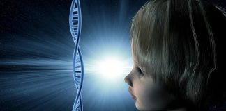 Eva mitocondrială si Teoria endosimbiotică a mitocondriilor